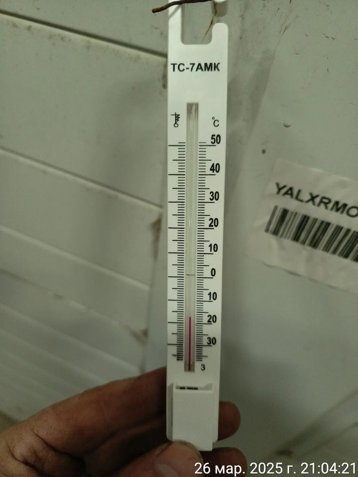 Photo 11