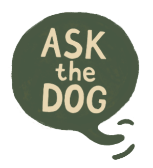  Ask the Dog | Спросите собаку! 