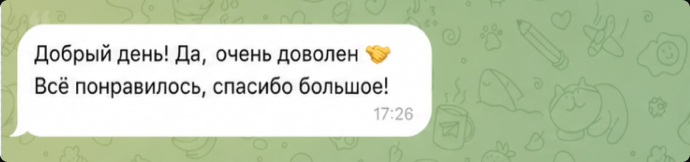 Отзыв клиента в переписке