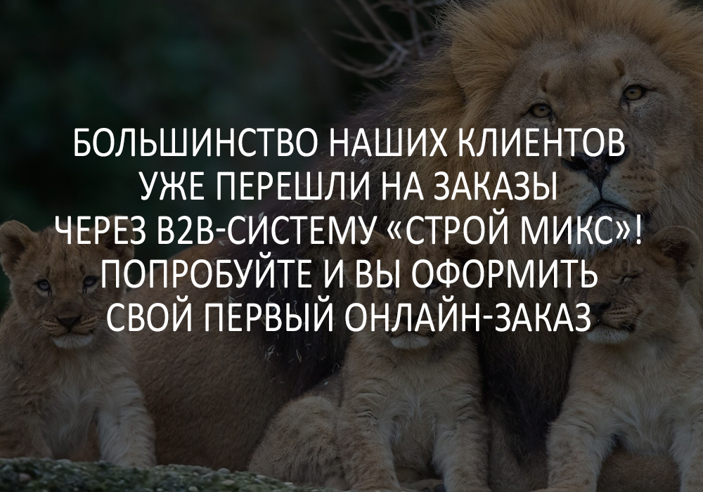 Большинство наших клиентов уже перешло на заказы через «Строй Микс»! Попробуйте и вы оформить свой первый онлайн-заказ