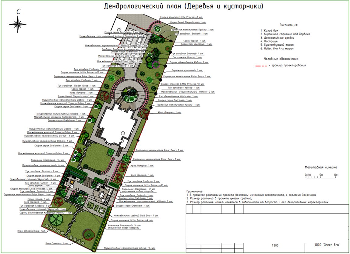 Дендрологический план деревьев и кустарников 