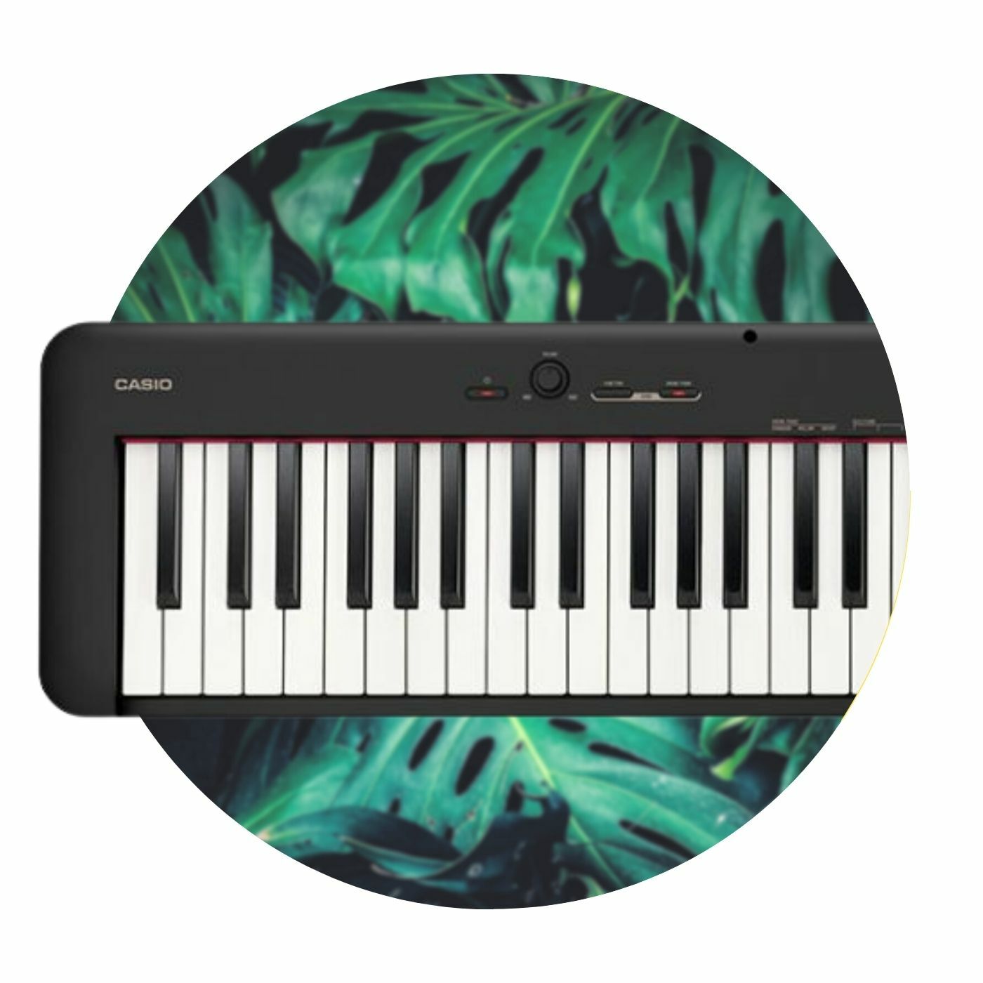 Купить в Москве цифровое пианино CASIO CDP S110 BK Чёрный. Внимание ...