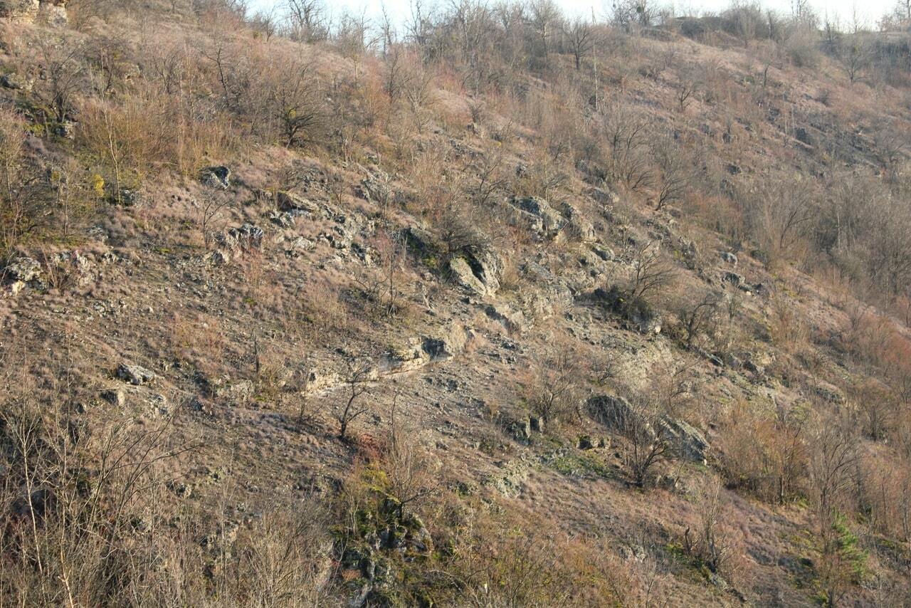 Село вале. Головатый камень в Валя-Адынкэ. Каменский р-он, с. Валя-Адынкэ природа. Валя Адынкэ Мария крайняя.