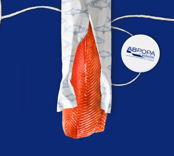 Мокап Айдентика бренда «Аврора Бореалис»