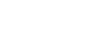 логотип powermototechnics