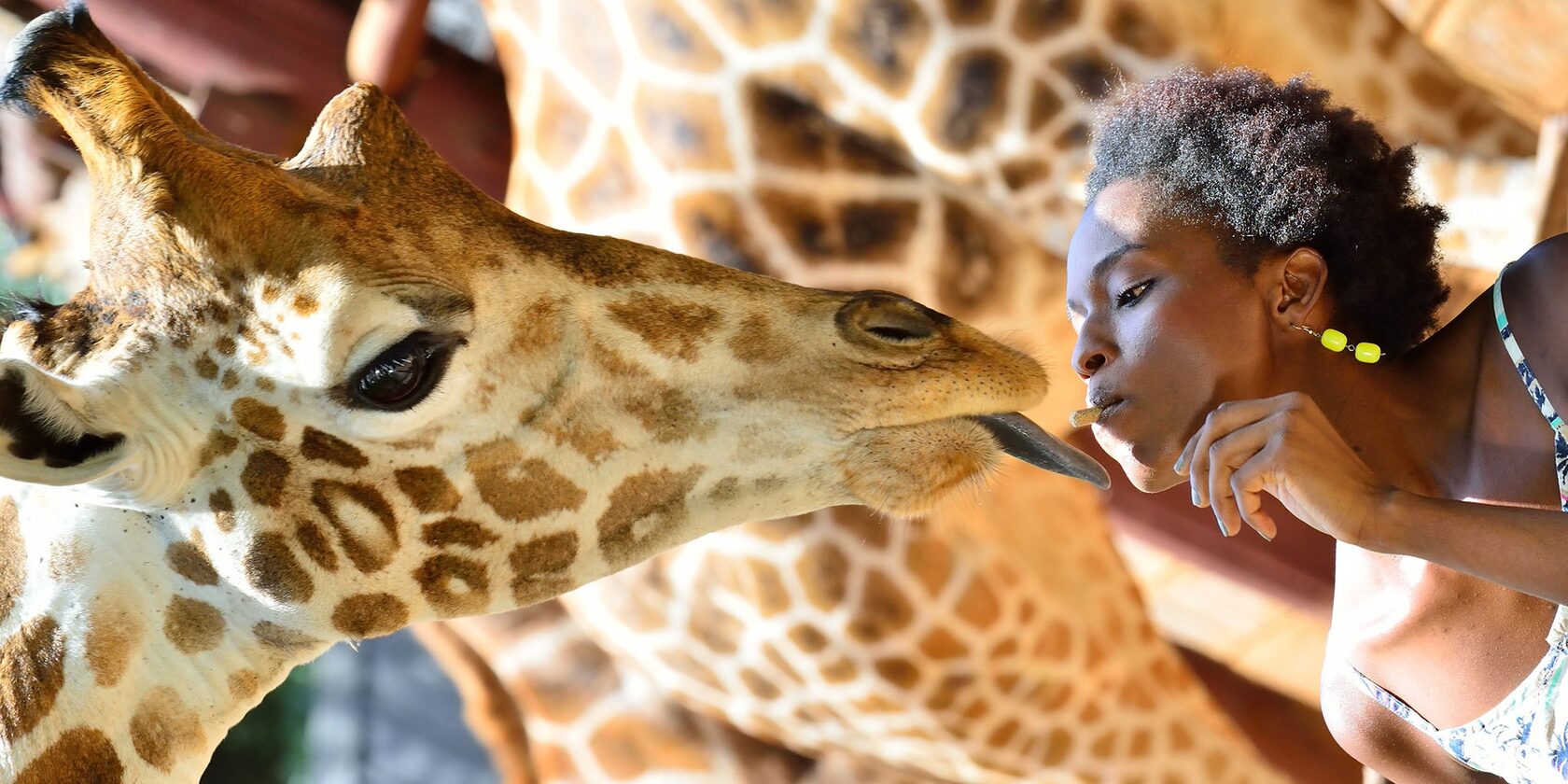 Люди жирафы фото