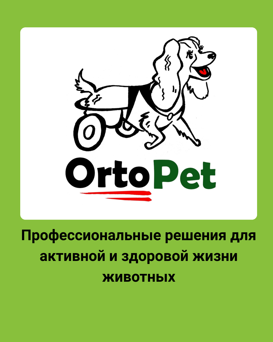 Ортопедические товары, витамины и аксессуары для питомцев от OrtoPet — скидка с купоном Anilogistic