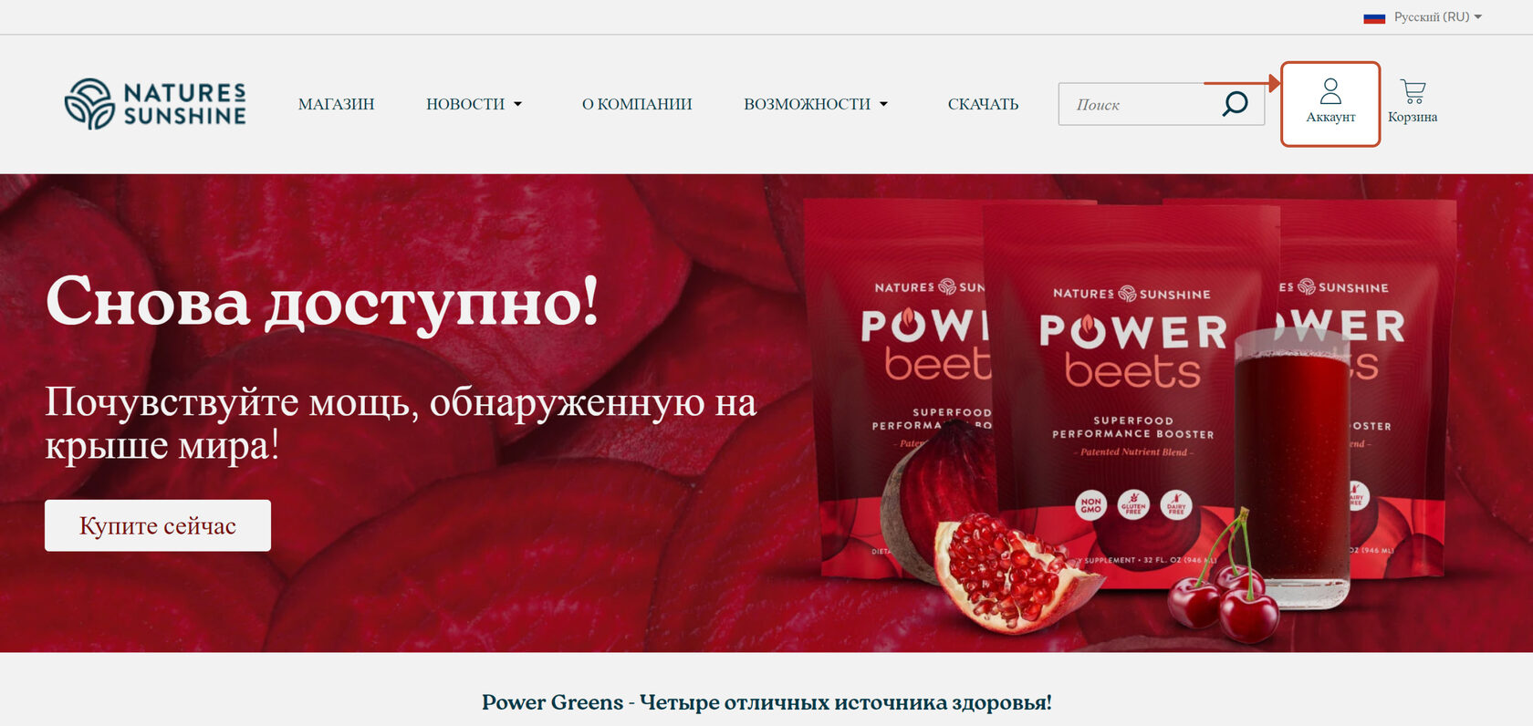 vhod-v-magazin-s-kompyutera-nsp-v-evrosoyuze