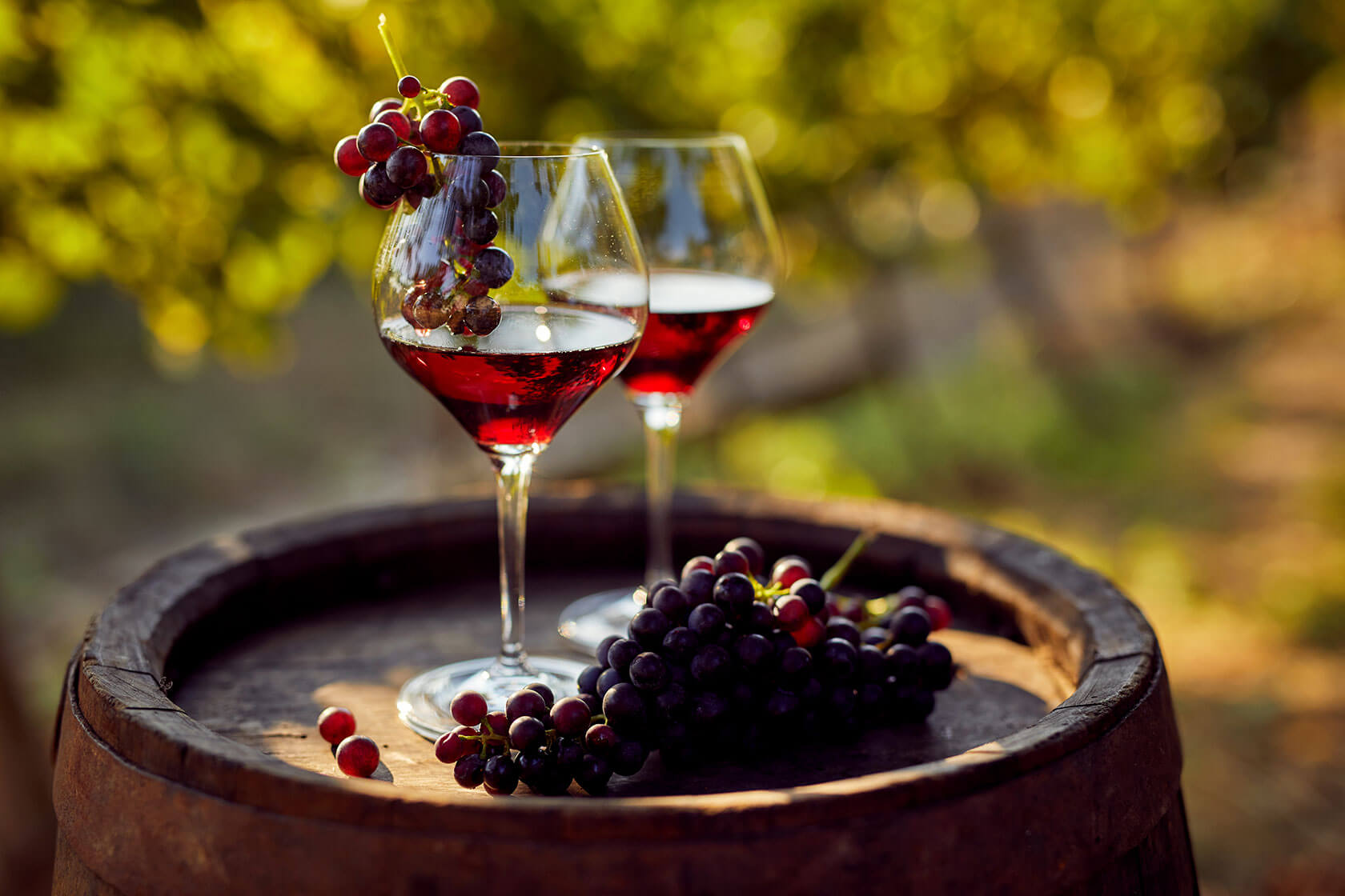 Розовое вино виноград. Красное вино. Бокал вина. Виноградное вино. Осеннее вино.