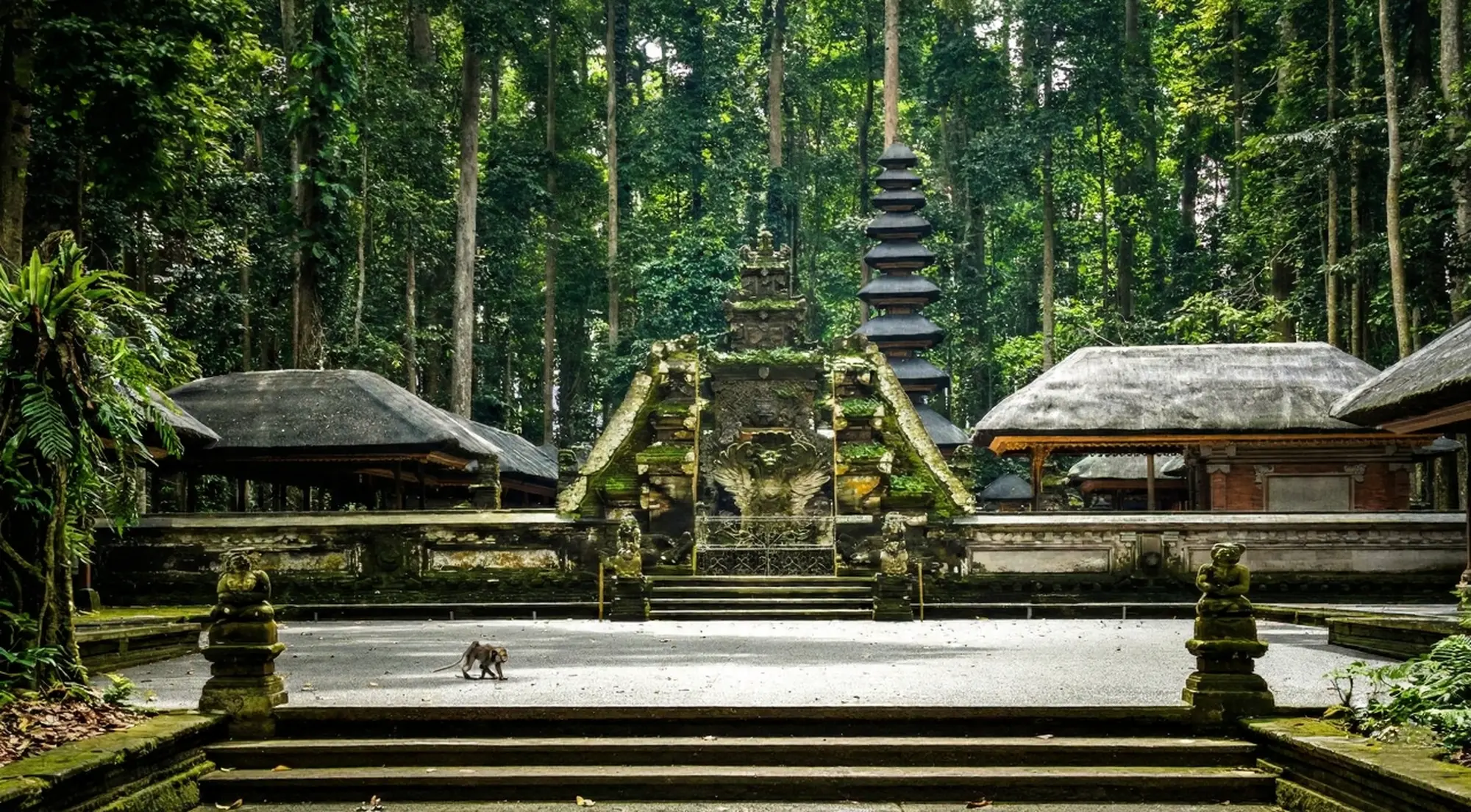 An ancient mossy temple in the forest with a monkey, capturing the mystical atmosphere of a Bali sacred location.