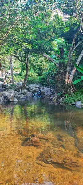 Прозрачная речка среди камней и леса