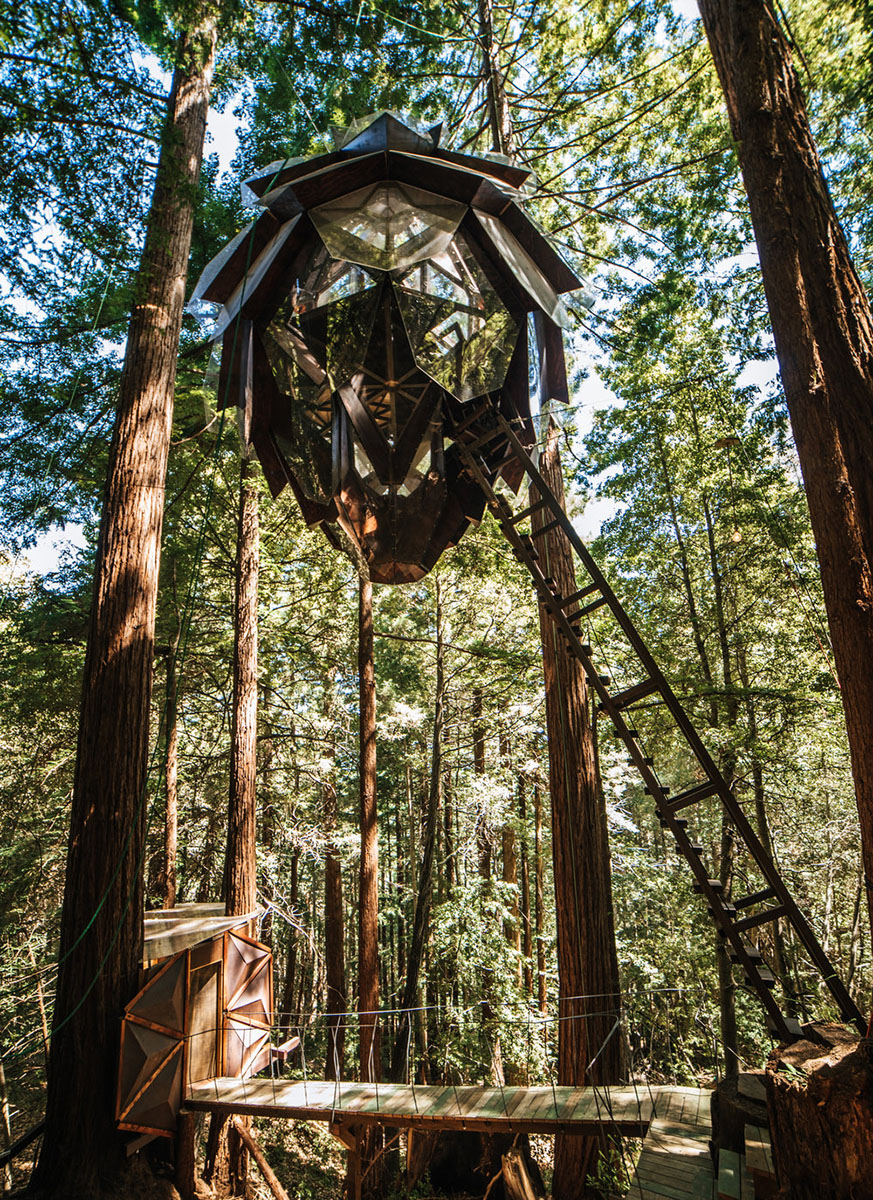 Pinecone Treehouse