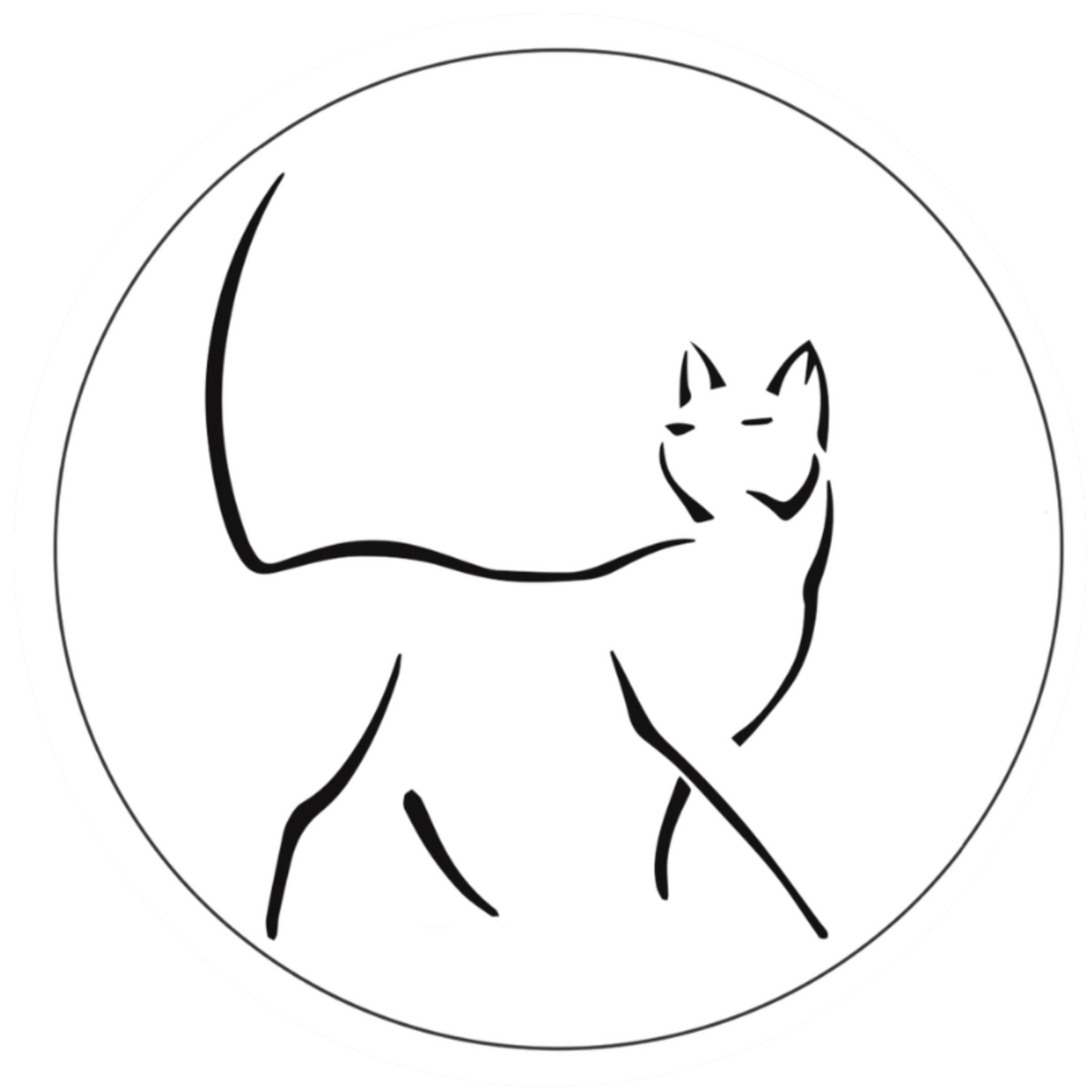  Человек и Кошка 