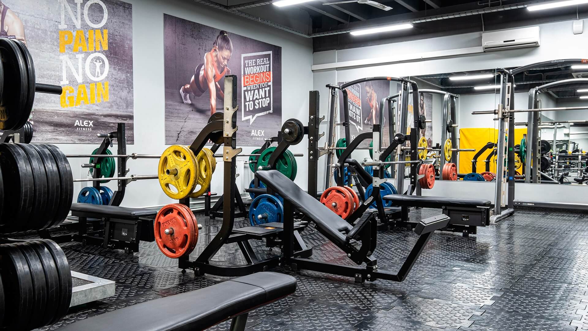 Фитнес бирюлево западное. Alex Fitness Бирюлево. Alex Fitness Ереван. Алекс фитнес Бирюлево Восточное Липецкая. Фитнес зал Бирюлево Восточное.