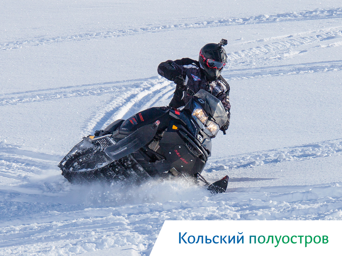 киты в охотском море