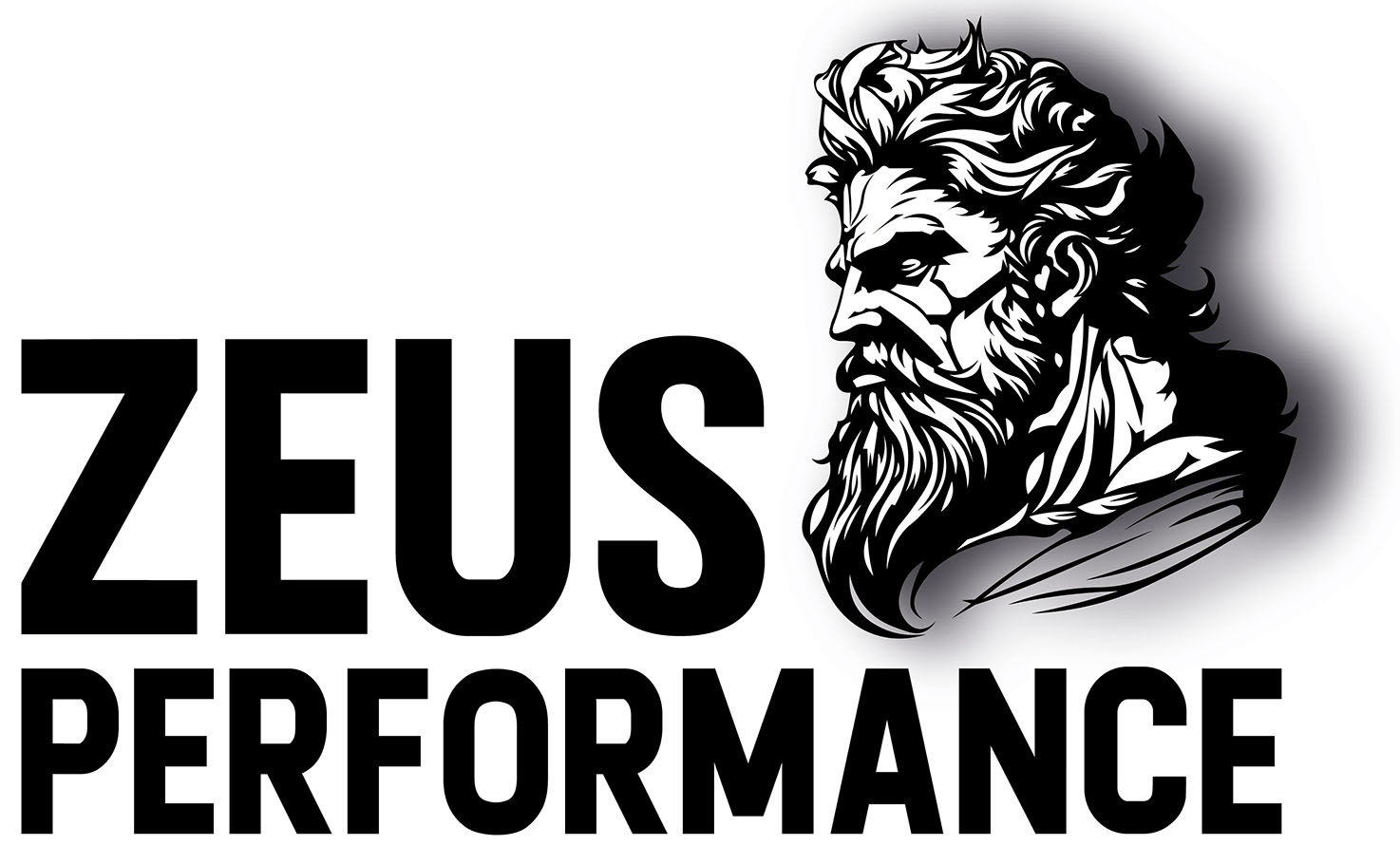 Zeus Performance
