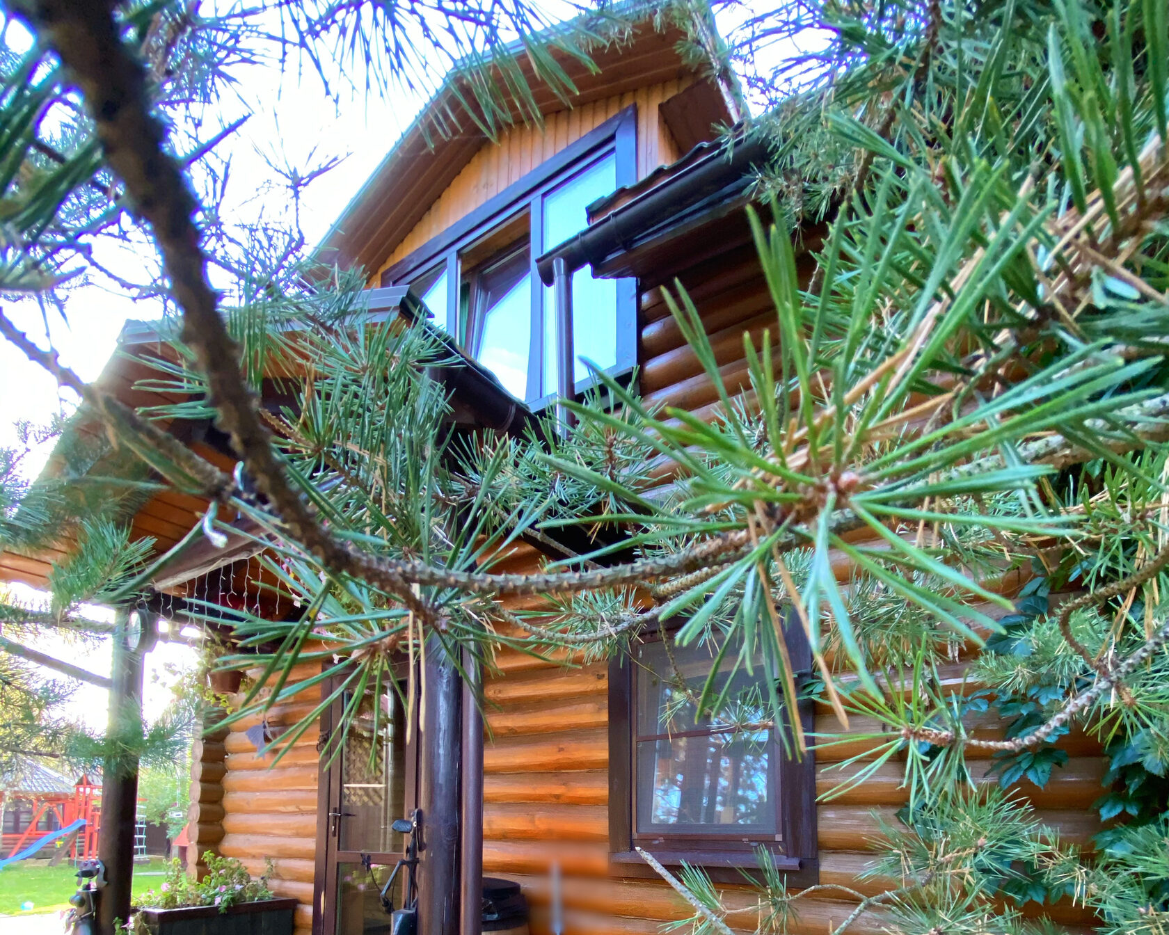 ТЕРЕМ — фото 1