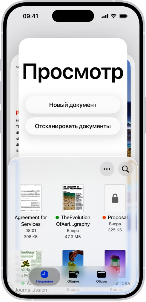 Возможности приложения «Просмотр» на iPhone, изображение №2