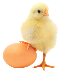 Оренбургский инкубатор