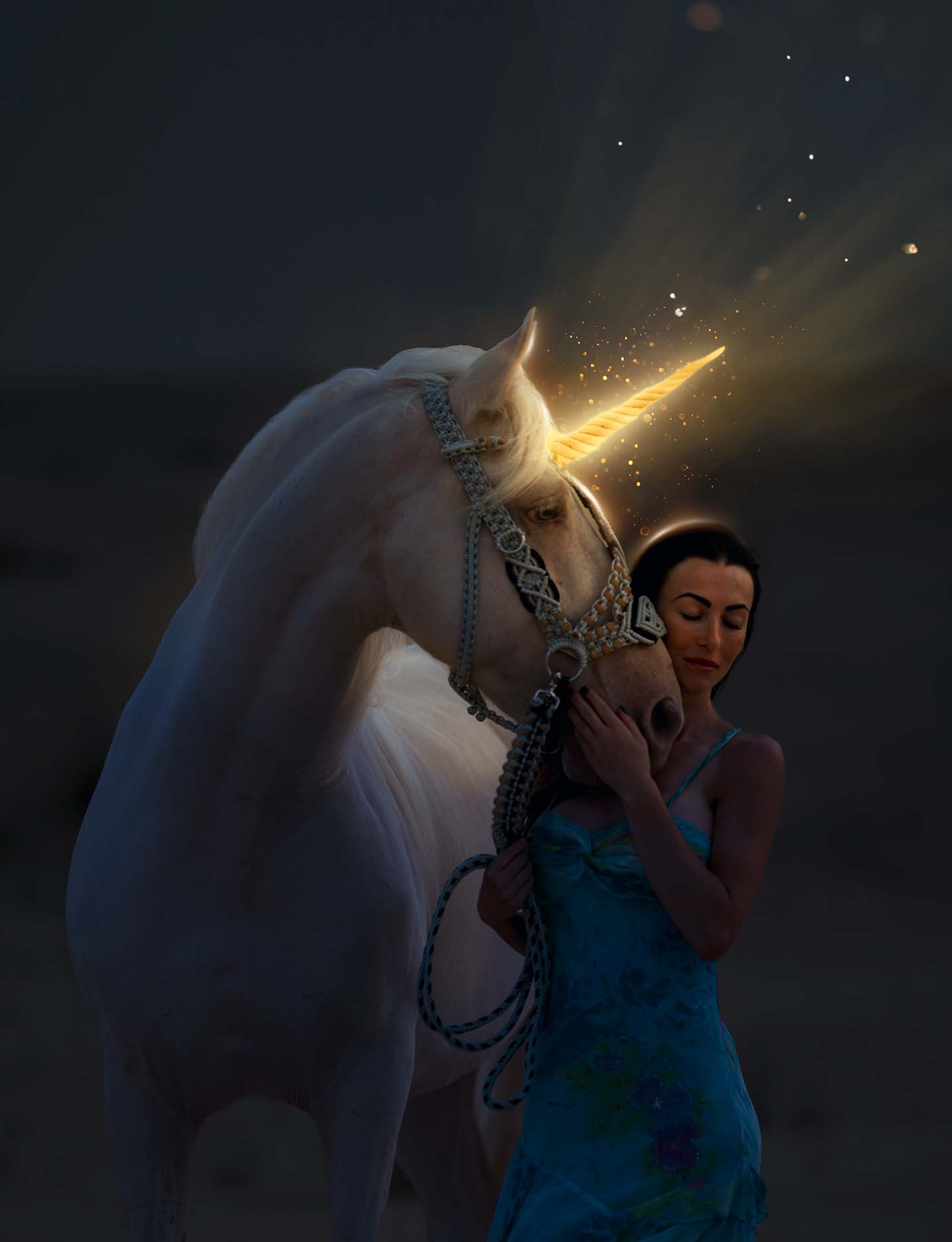 dixilarina мастер-класс по конной фотографии