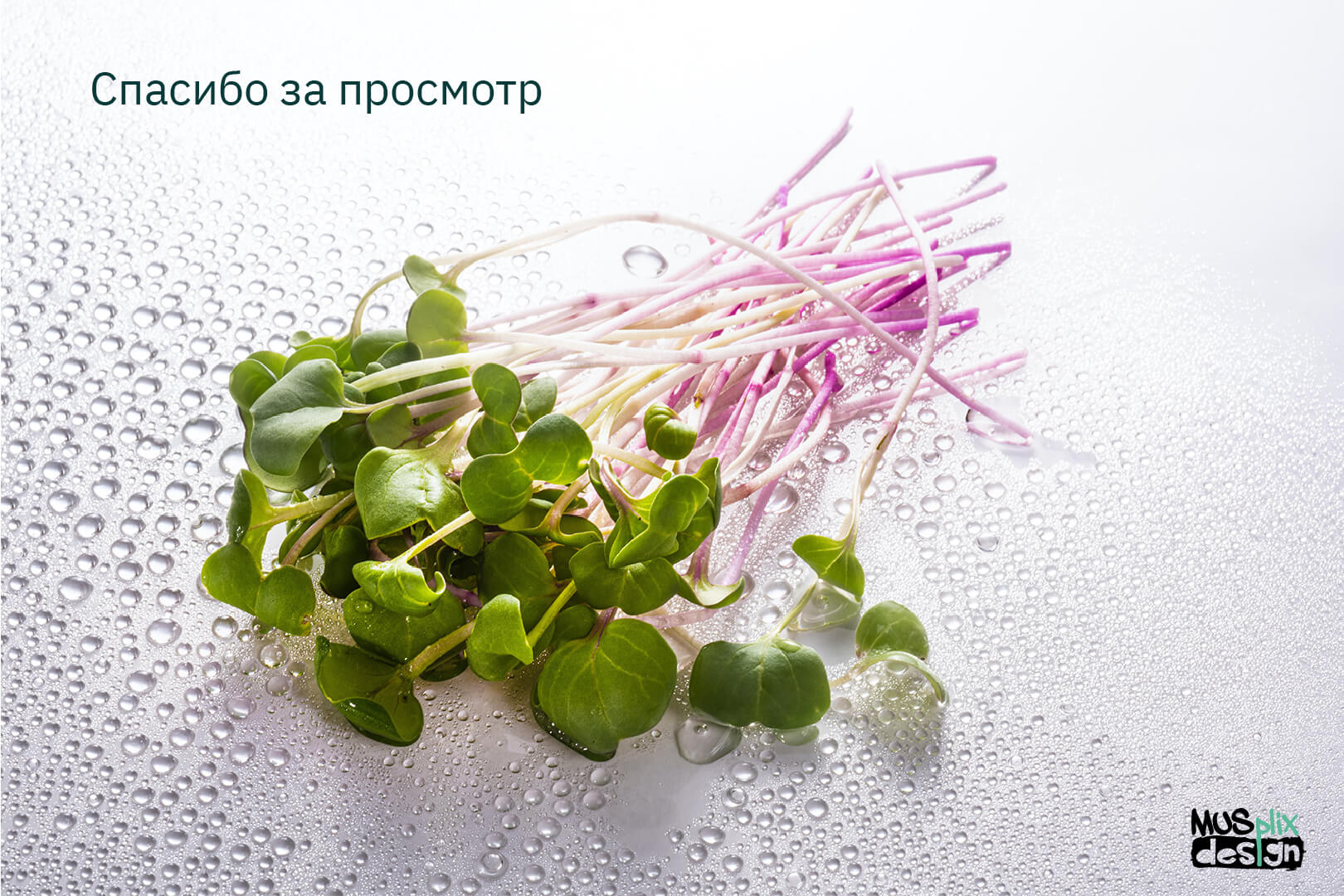Какая микрозелень самая вкусная