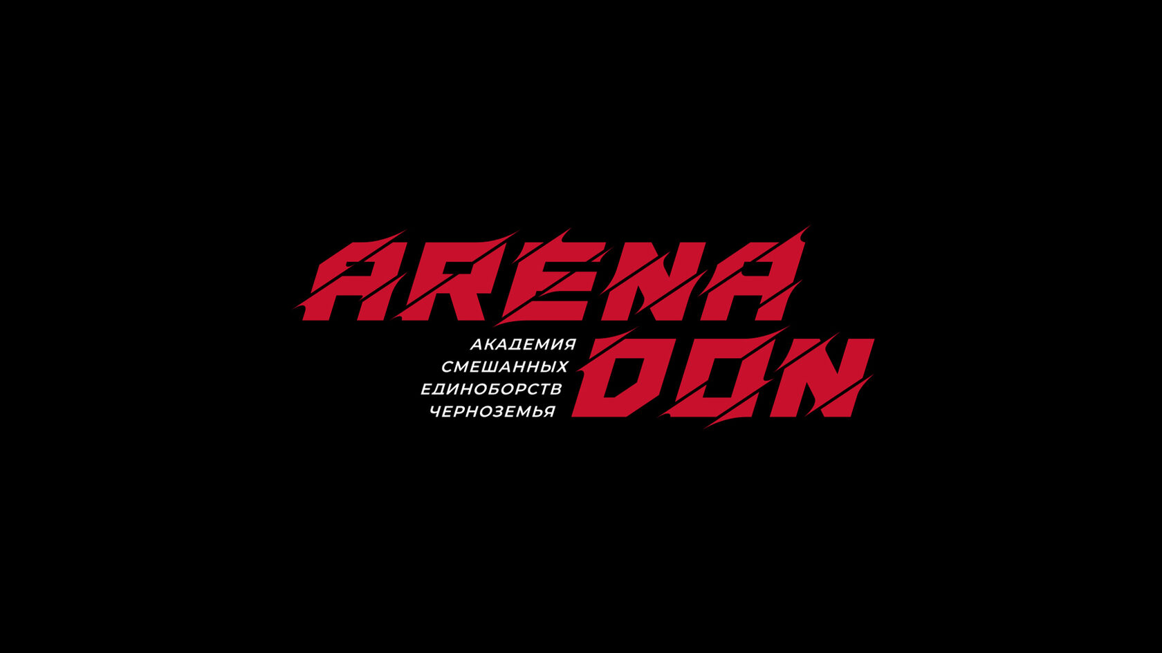 Arena Don – материал проекта
