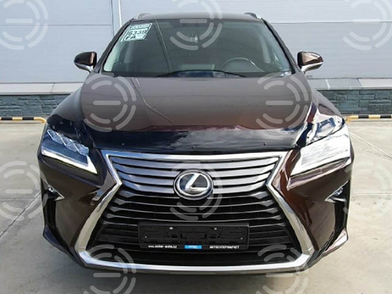 Оформили ЭПТС и СБКТС на LEXUS RX 200T в Новосибирской области фото №1