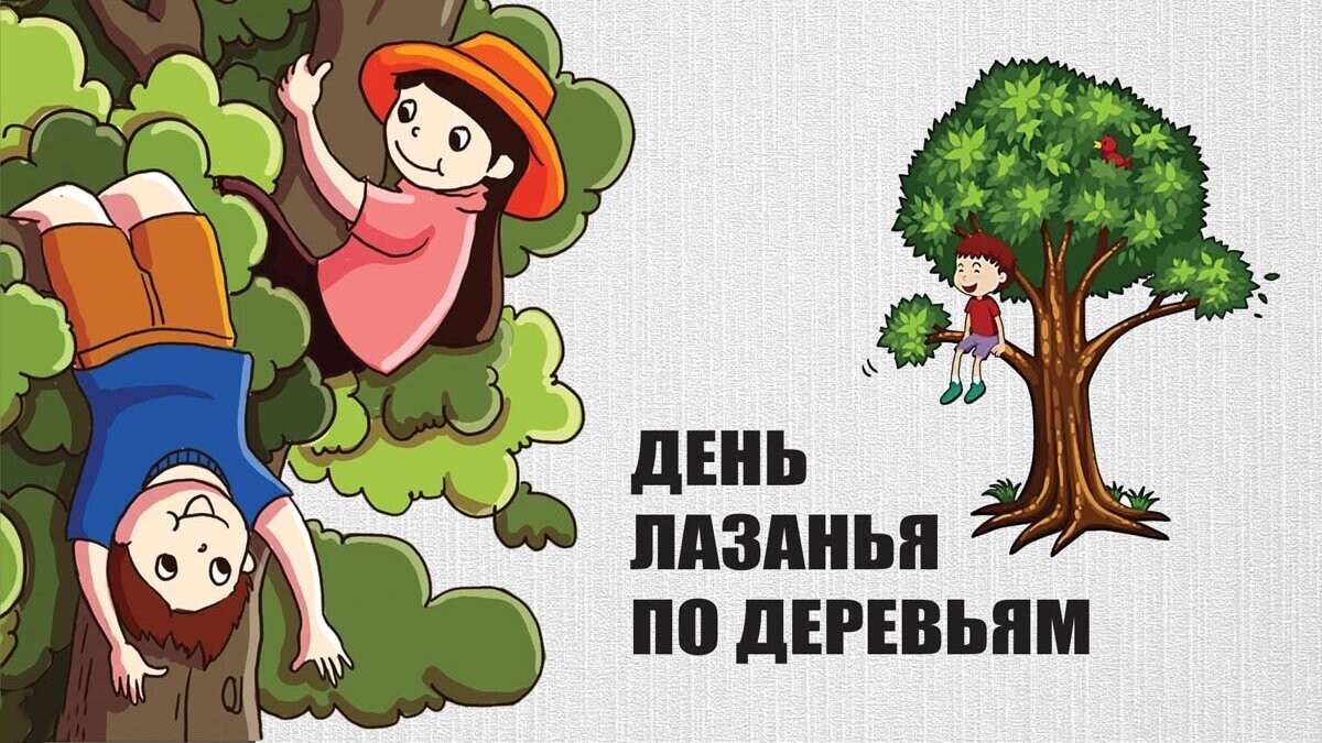 День лазанья по деревьям geek hostel новости 25 августа 2025 года