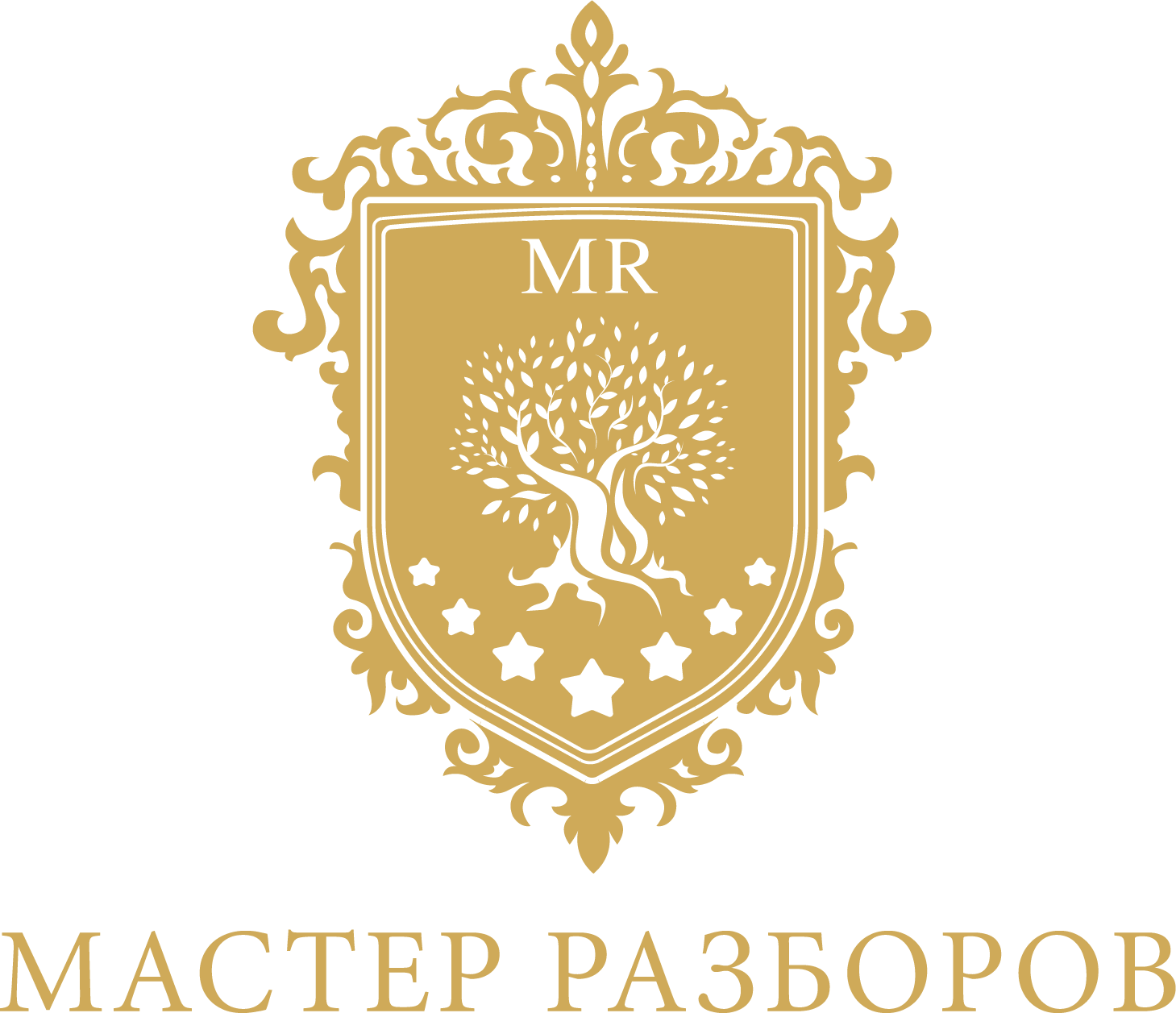 Лого академии. Мастер разборов логотип. Академия мастер разборов. Международная Академия мастер разборов.