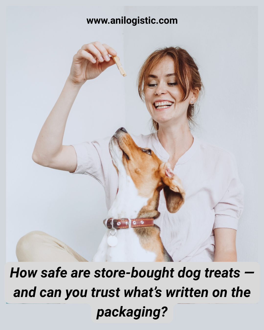 Dog treats labeled as natural and single-ingredient — are they really safe? Independent tests in Germany reveal hidden risks.