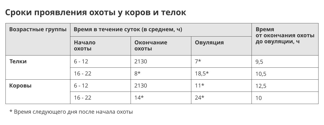 Ремонтные телки: как они могут повысить прибыльность вашего хозяйства. - ABS Global Russia