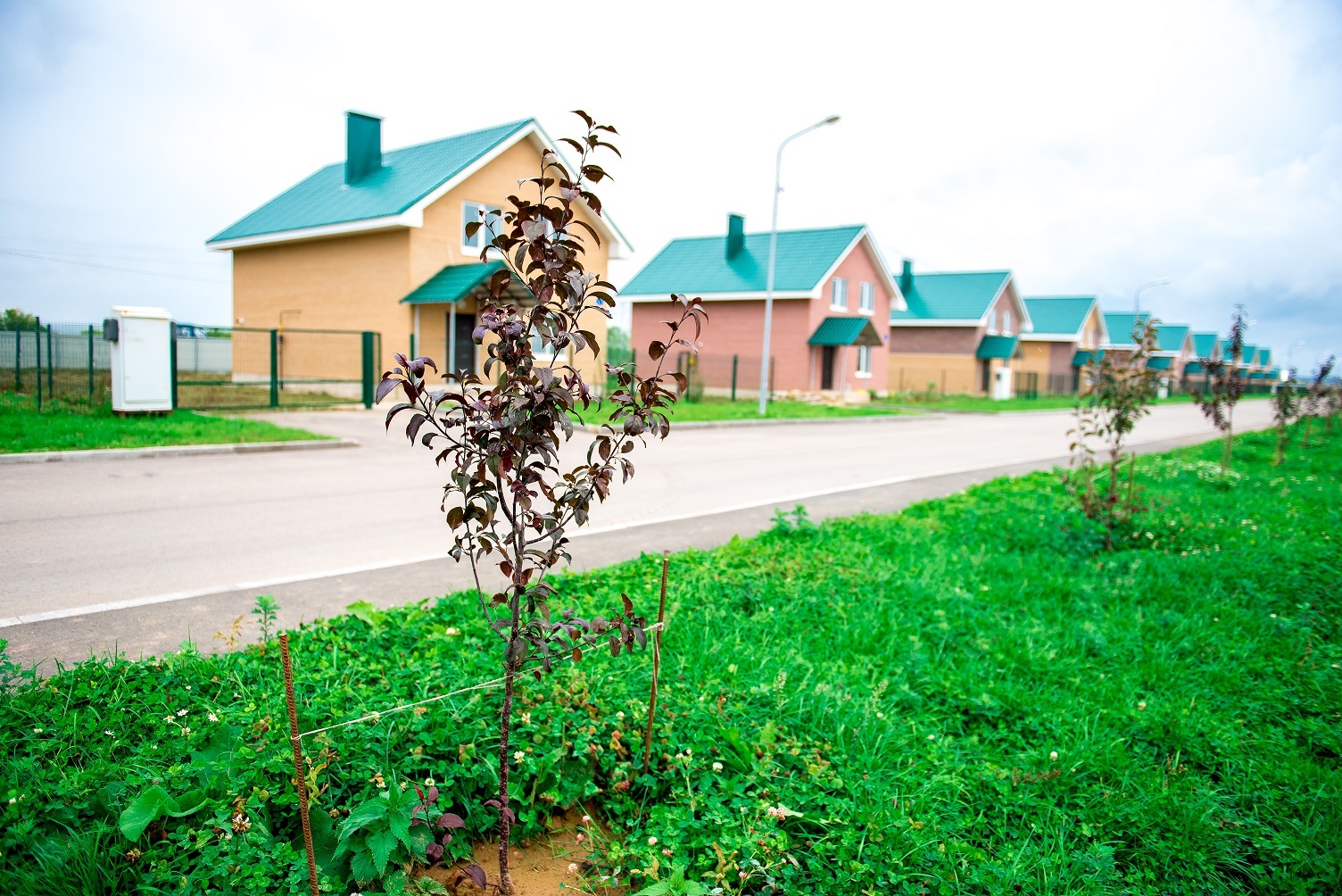 Купить Квартиру В Савино Новгородской Области