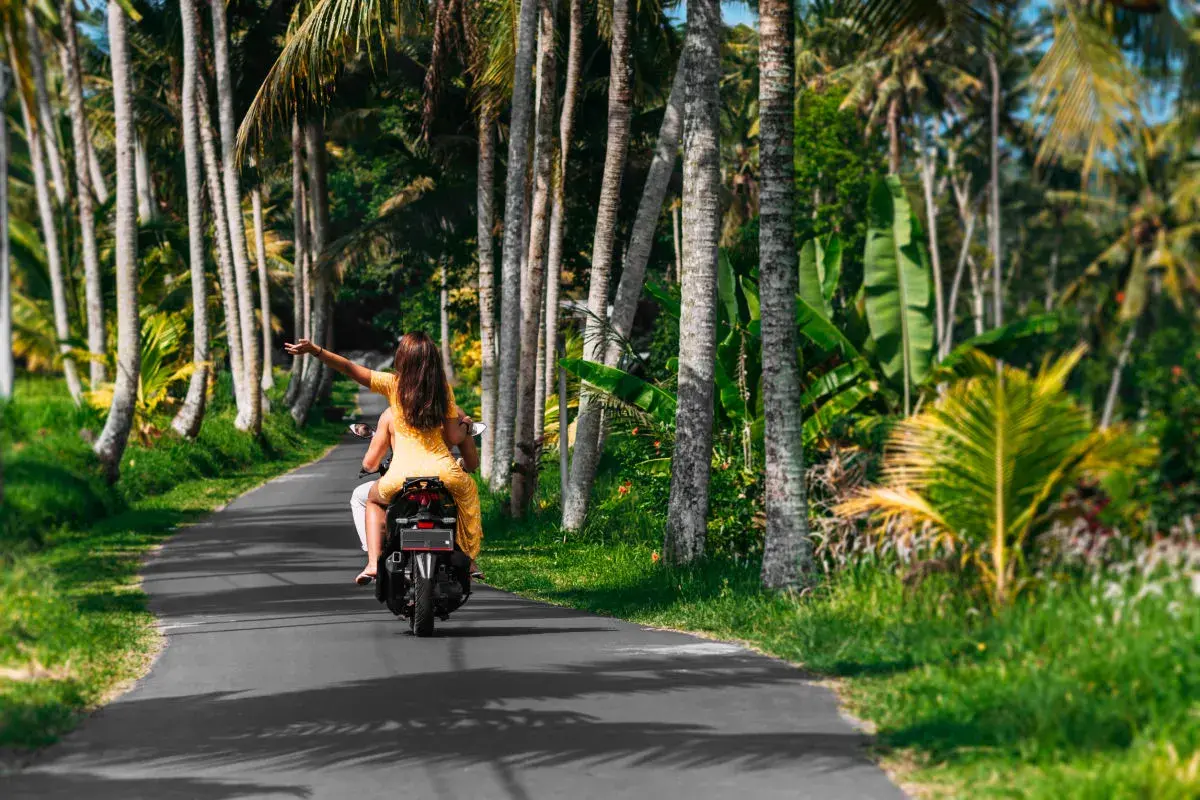 Tourist riding a scooter through a palm-lined road in rural Bali
