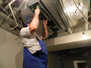 Почему важно бороться с инфекциями 