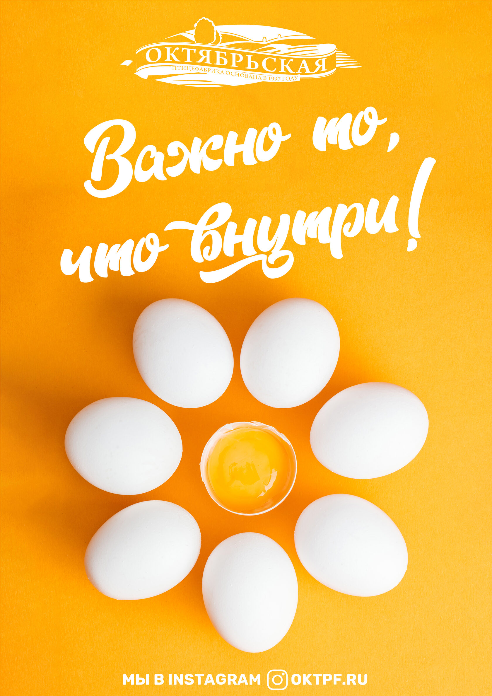Продукция птицефабрики "Октябрьская"