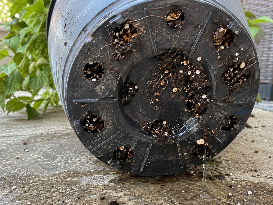 Close-up of drainage holes in a pot, the fix for container plants dying from overwatering