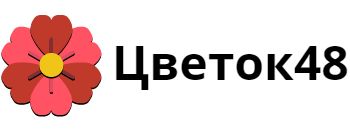 ЦВЕТОК48