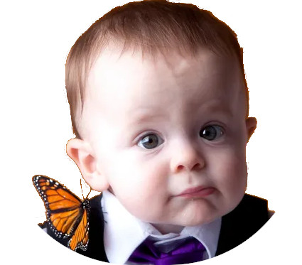  +7 985 015-70-34 studio VK 