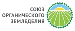 Светская Жизнь