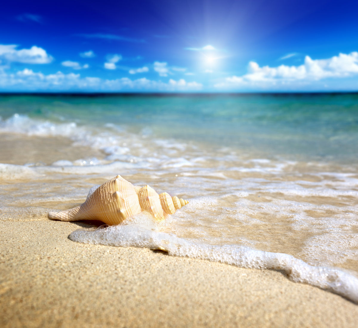 Солнце море белый песок