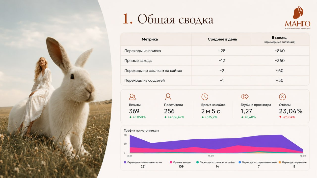 Продвижение ветклиники Москва