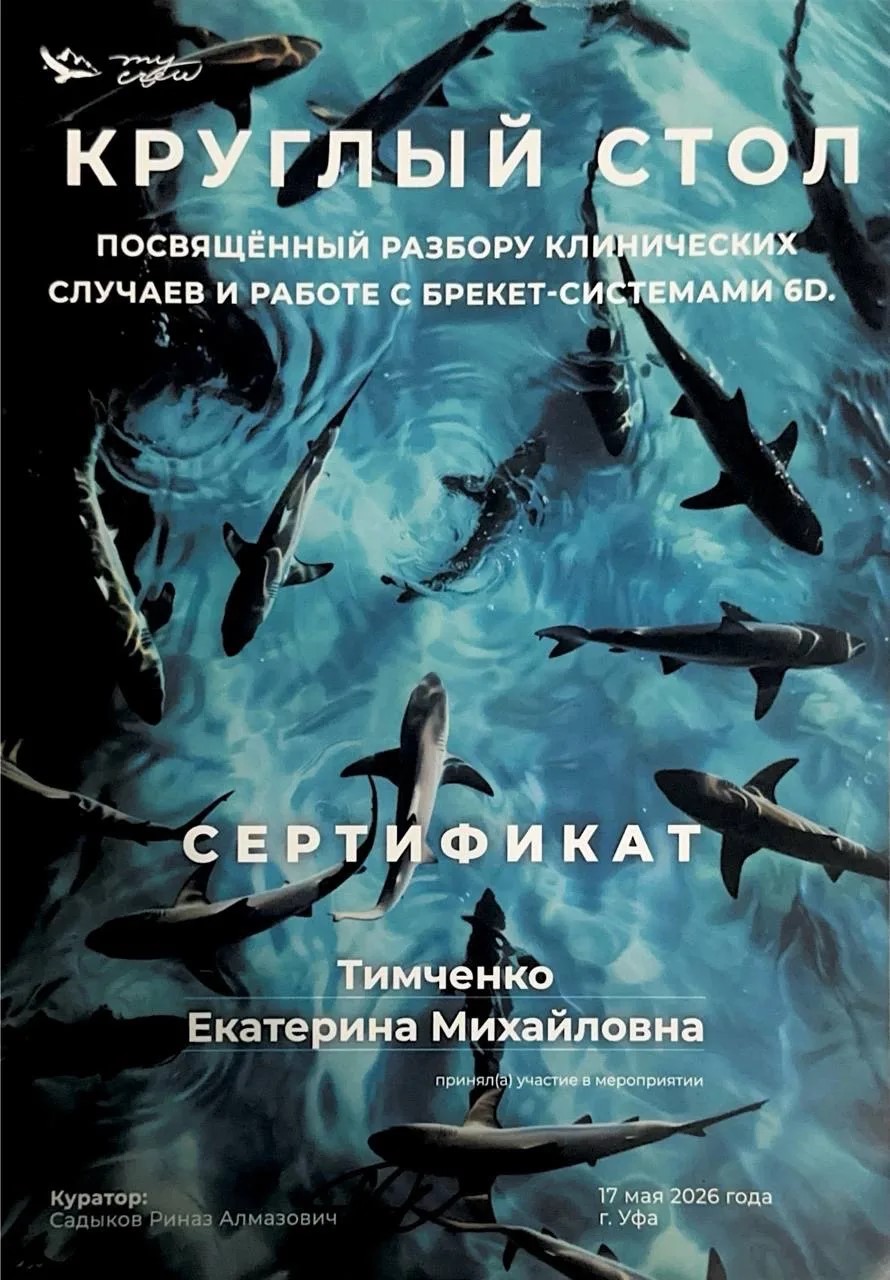 Сертификат 2