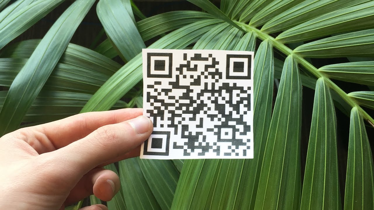 оплата по QR-коду в Турции