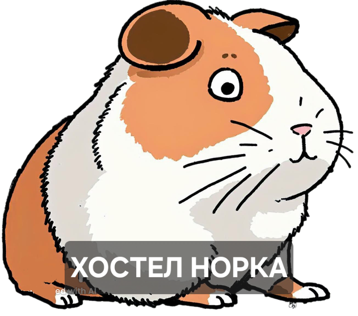 Хостел Норка