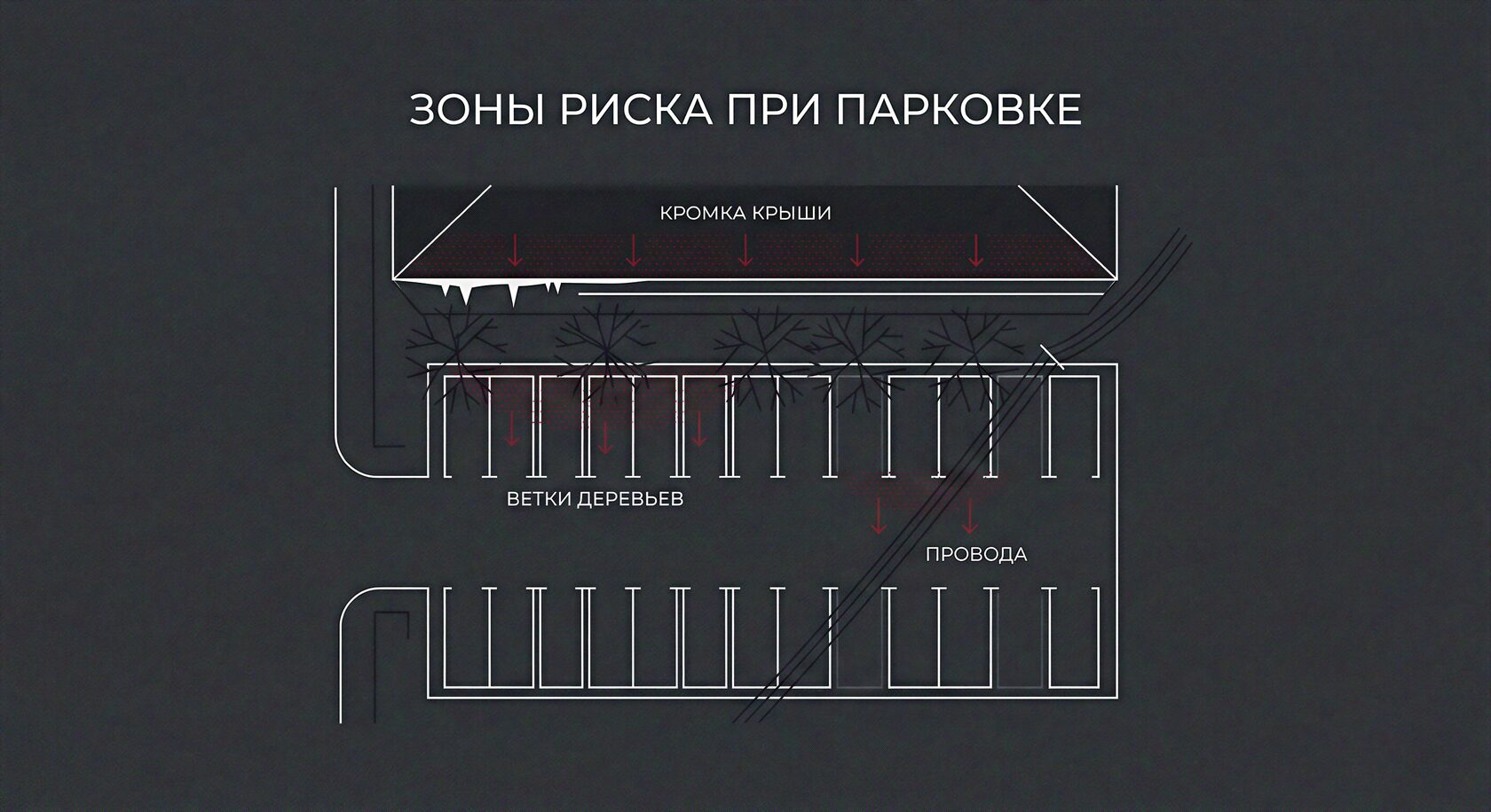 Места, над которыми птицы чаще сидят, и почему машины под ними страдают от помета