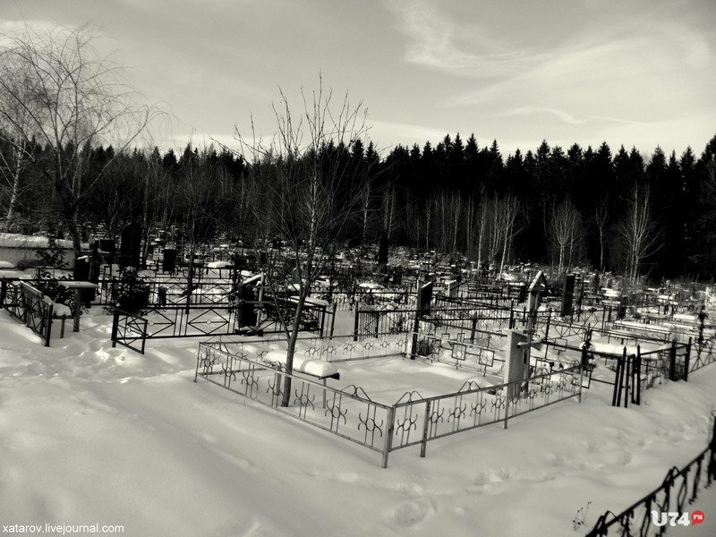 Городское Кладбище Фото