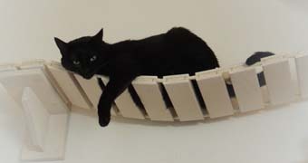 когтеточки комплексы