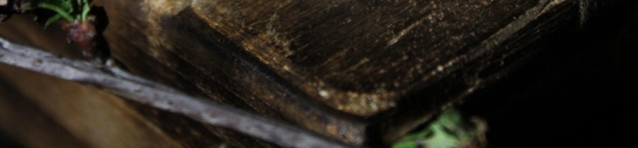 заговор амулета на удачу. заговор для талисмана. заговор кулона. заговор на удачу в семье. царский амулет на удачу и богатство.