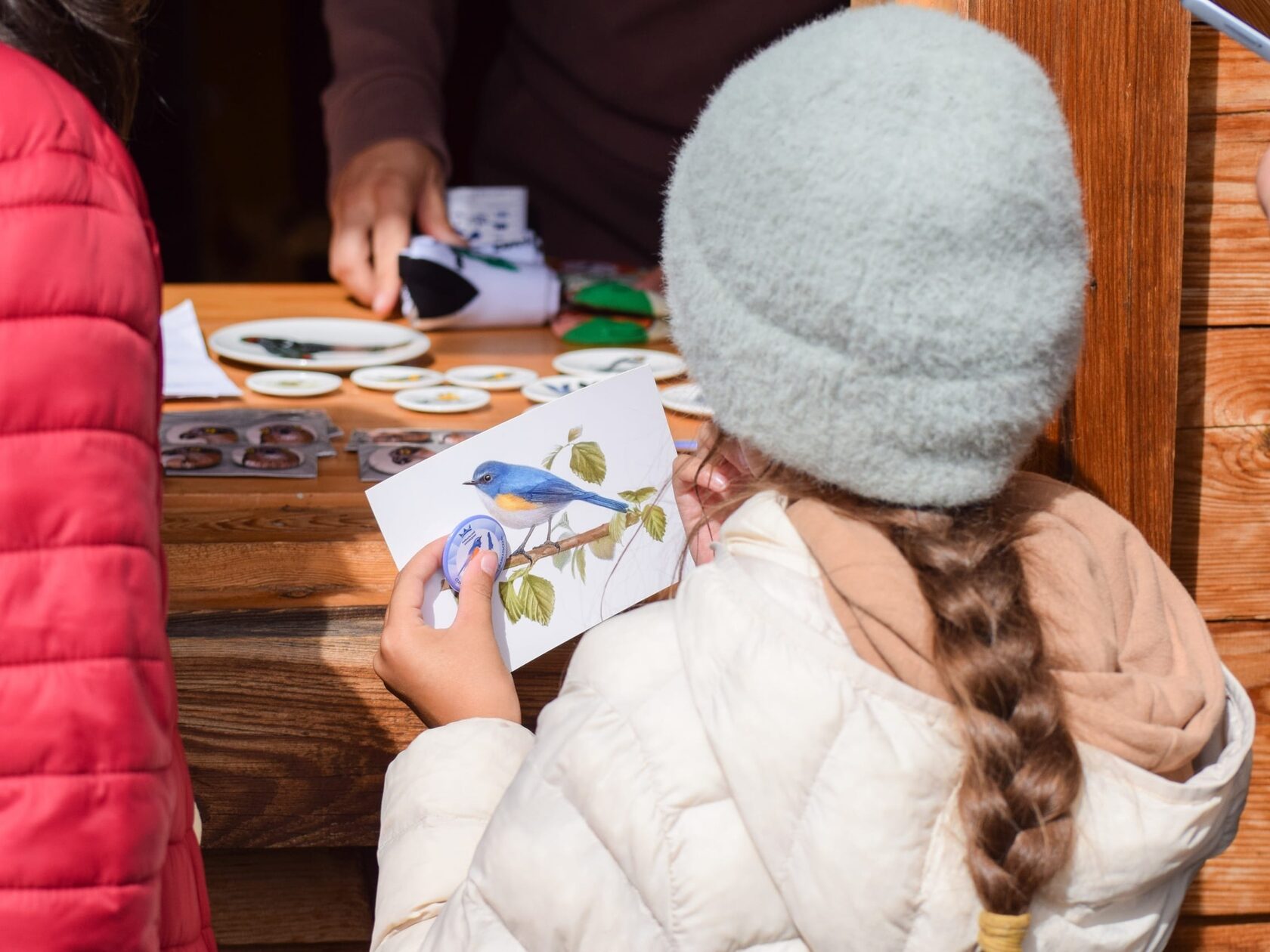 на станции кольцевания птиц «Байкальская»