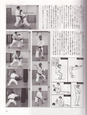 Tetsuhiko Asai, Japan Karate Shotokai